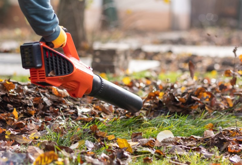 A person using a leaf blower to clear fallen leaves from a yard.